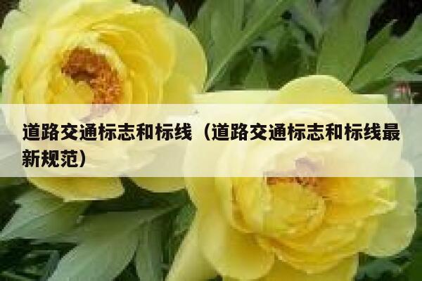 道路交通标志和标线（道路交通标志和标线最新规范） 第1张