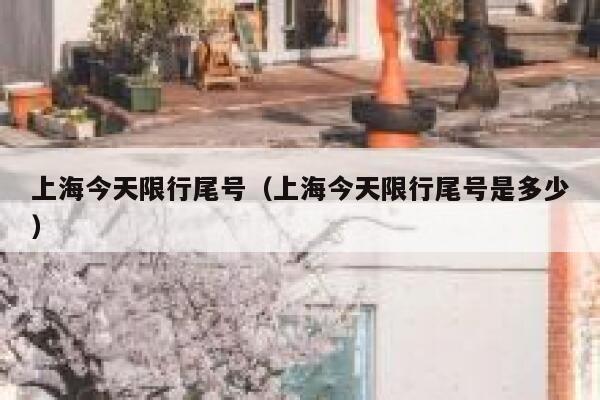 上海今天限行尾号（上海今天限行尾号是多少） 第1张
