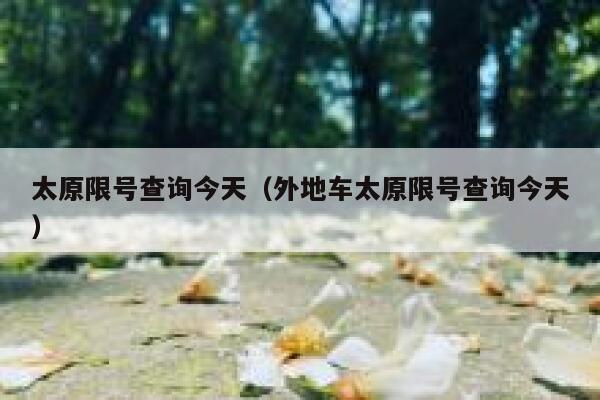 太原限号查询今天（外地车太原限号查询今天） 第1张