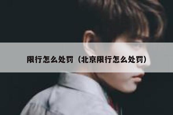限行怎么处罚（北京限行怎么处罚） 第1张