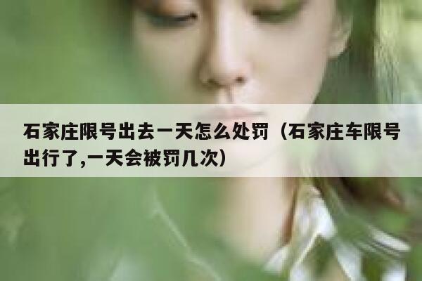 石家庄限号出去一天怎么处罚（石家庄车限号出行了,一天会被罚几次） 第1张