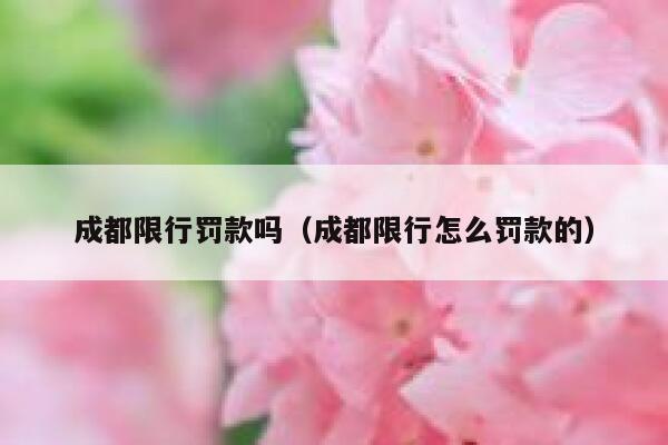 成都限行罚款吗（成都限行怎么罚款的） 第1张