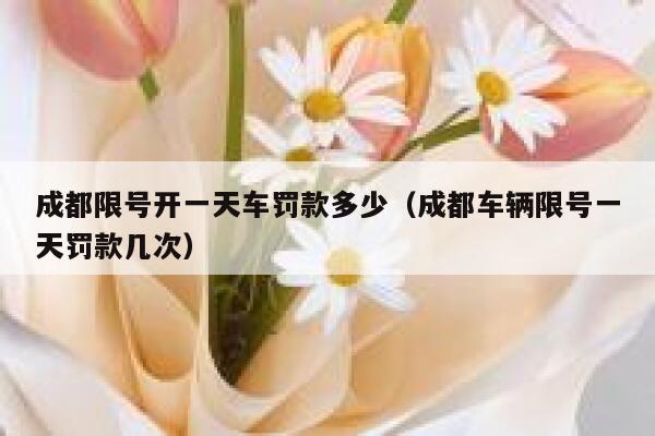 成都限号开一天车罚款多少（成都车辆限号一天罚款几次） 第1张