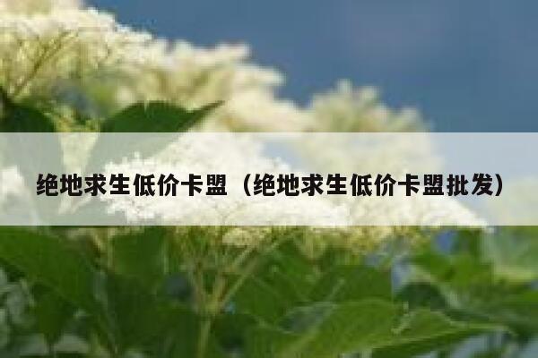 绝地求生低价卡盟（绝地求生低价卡盟批发） 第1张