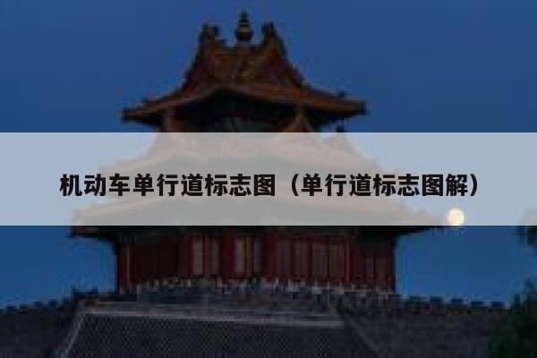 机动车单行道标志图（单行道标志图解） 第1张