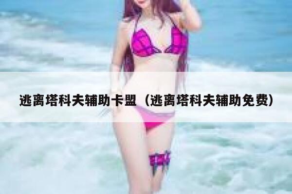 逃离塔科夫辅助卡盟（逃离塔科夫辅助免费） 第1张