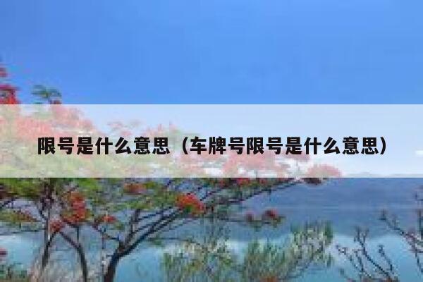 限号是什么意思（车牌号限号是什么意思） 第1张