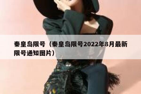 秦皇岛限号（秦皇岛限号2022年8月最新限号通知图片） 第1张