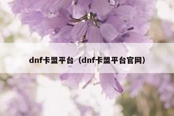 dnf卡盟平台（dnf卡盟平台官网） 第1张