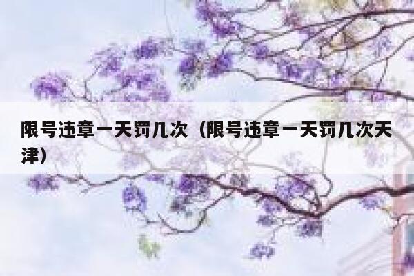 限号违章一天罚几次（限号违章一天罚几次天津） 第1张