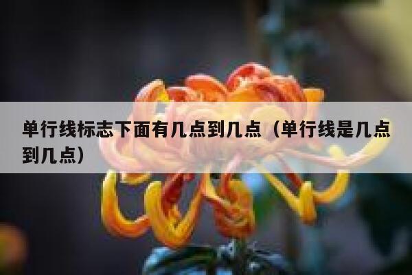 单行线标志下面有几点到几点（单行线是几点到几点） 第1张