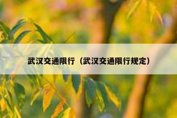 武汉交通限行（武汉交通限行规定） 第1张