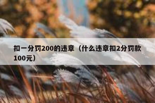 扣一分罚200的违章（什么违章扣2分罚款100元） 第1张
