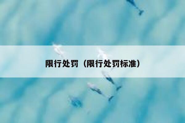 限行处罚（限行处罚标准） 第1张