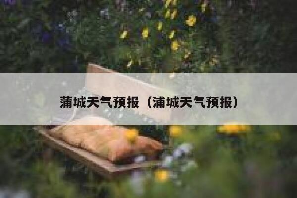 蒲城天气预报（浦城天气预报） 第1张