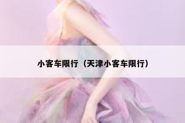 小客车限行（天津小客车限行） 第1张