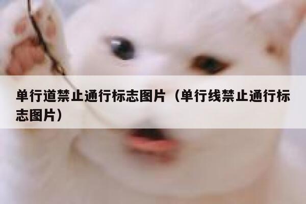 单行道禁止通行标志图片（单行线禁止通行标志图片） 第1张