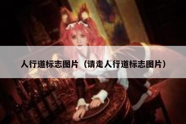 人行道标志图片（请走人行道标志图片） 第1张