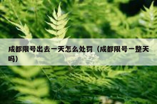 成都限号出去一天怎么处罚（成都限号一整天吗） 第1张