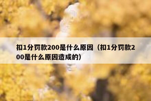 扣1分罚款200是什么原因（扣1分罚款200是什么原因造成的） 第1张