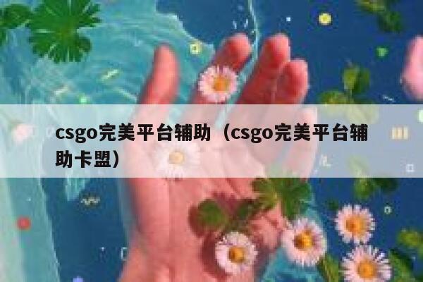 csgo完美平台辅助（csgo完美平台辅助卡盟） 第1张
