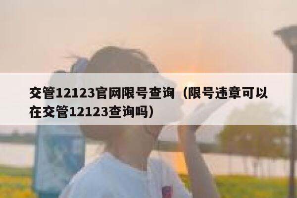 交管12123官网限号查询（限号违章可以在交管12123查询吗） 第1张