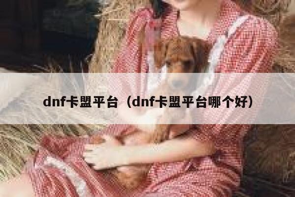 dnf卡盟平台（dnf卡盟平台哪个好） 第1张