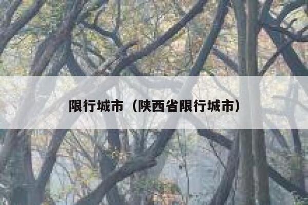限行城市（陕西省限行城市） 第1张