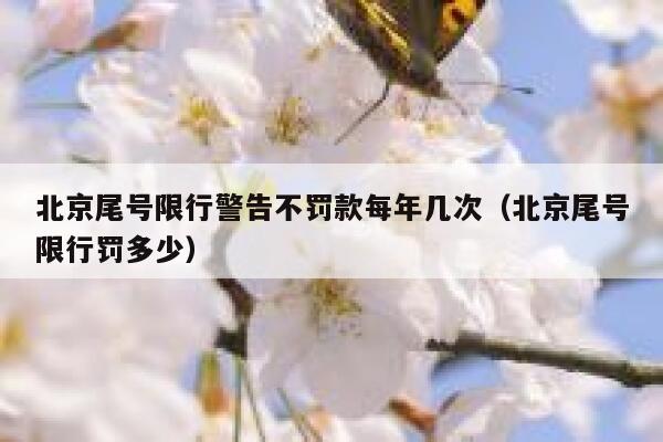 北京尾号限行警告不罚款每年几次（北京尾号限行罚多少） 第1张