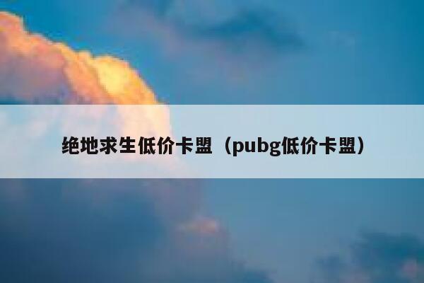 绝地求生低价卡盟（pubg低价卡盟） 第1张