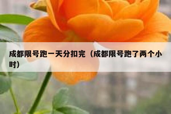 成都限号跑一天分扣完（成都限号跑了两个小时） 第1张