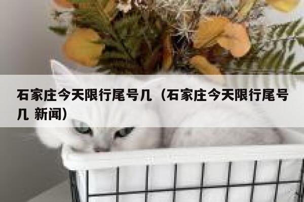 石家庄今天限行尾号几（石家庄今天限行尾号几 新闻） 第1张
