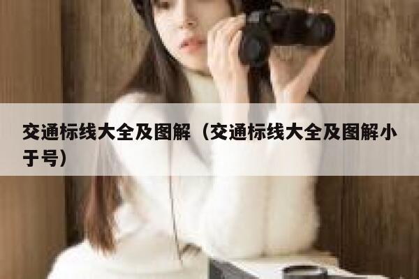 交通标线大全及图解（交通标线大全及图解小于号） 第1张