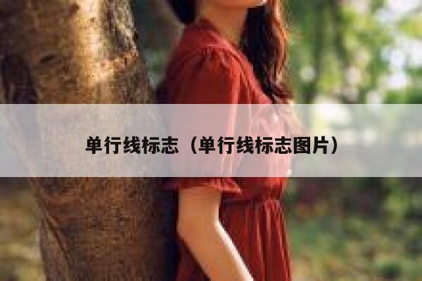 单行线标志（单行线标志图片） 第1张