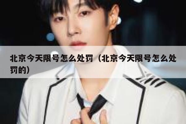 北京今天限号怎么处罚（北京今天限号怎么处罚的） 第1张
