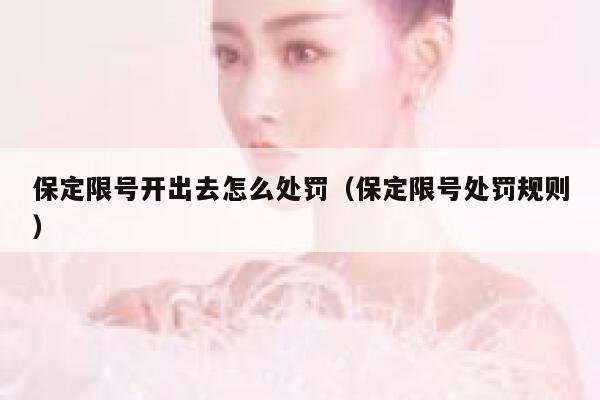 保定限号开出去怎么处罚（保定限号处罚规则） 第1张
