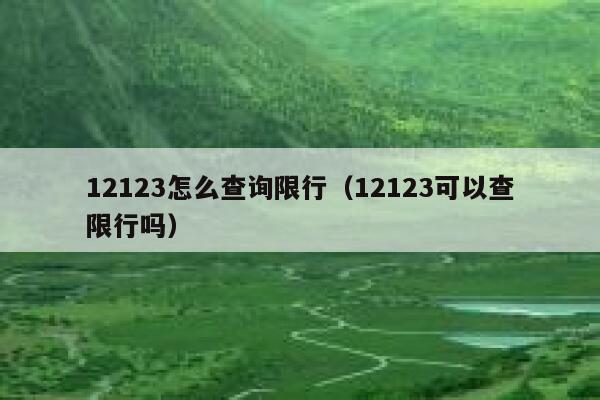 12123怎么查询限行（12123可以查限行吗） 第1张