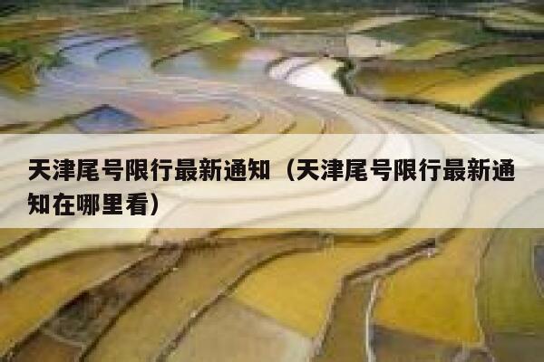天津尾号限行最新通知（天津尾号限行最新通知在哪里看） 第1张