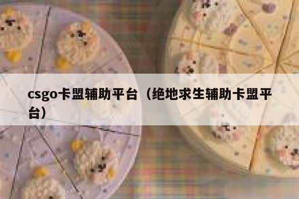 csgo卡盟辅助平台（绝地求生辅助卡盟平台） 第1张