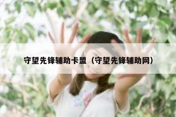 守望先锋辅助卡盟（守望先锋辅助网） 第1张