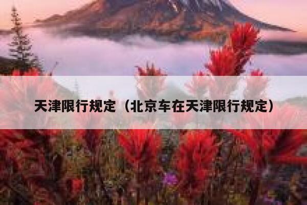 天津限行规定（北京车在天津限行规定） 第1张