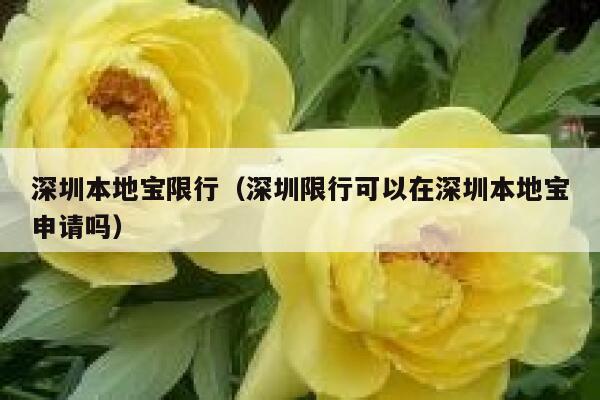 深圳本地宝限行（深圳限行可以在深圳本地宝申请吗） 第1张