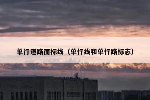 单行道路面标线（单行线和单行路标志） 第1张