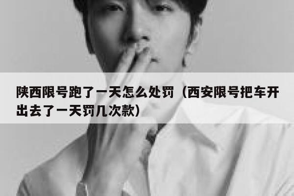 陕西限号跑了一天怎么处罚（西安限号把车开出去了一天罚几次款） 第1张