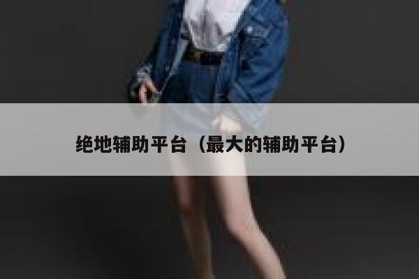 绝地辅助平台（最大的辅助平台） 第1张