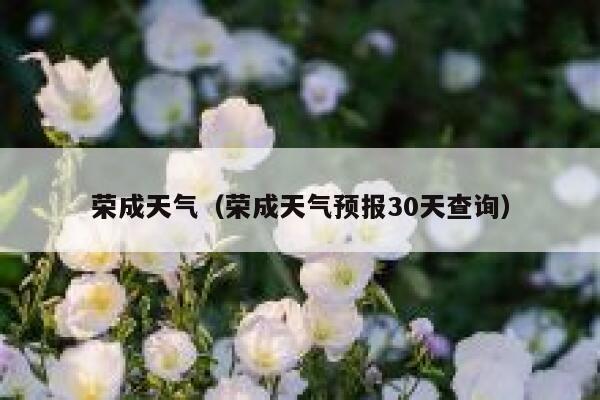 荣成天气（荣成天气预报30天查询） 第1张