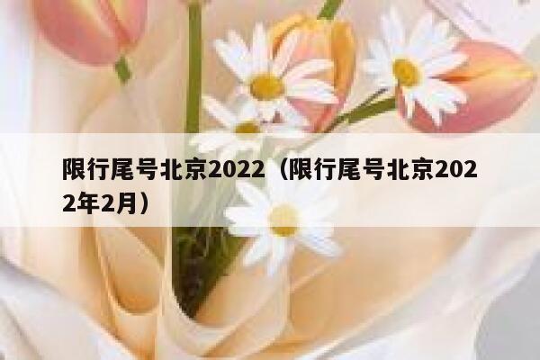 限行尾号北京2022（限行尾号北京2022年2月） 第1张