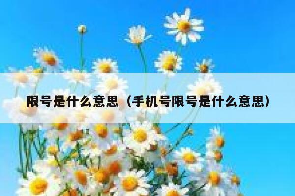 限号是什么意思（手机号限号是什么意思） 第1张