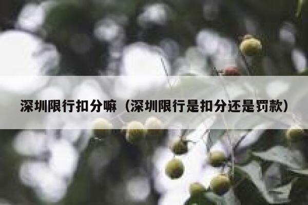 深圳限行扣分嘛（深圳限行是扣分还是罚款） 第1张