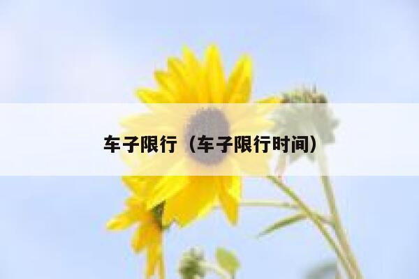 车子限行（车子限行时间） 第1张
